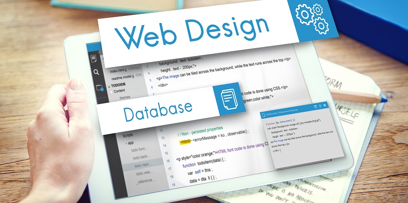 Términos básicos que debes conocer al contratar un hosting