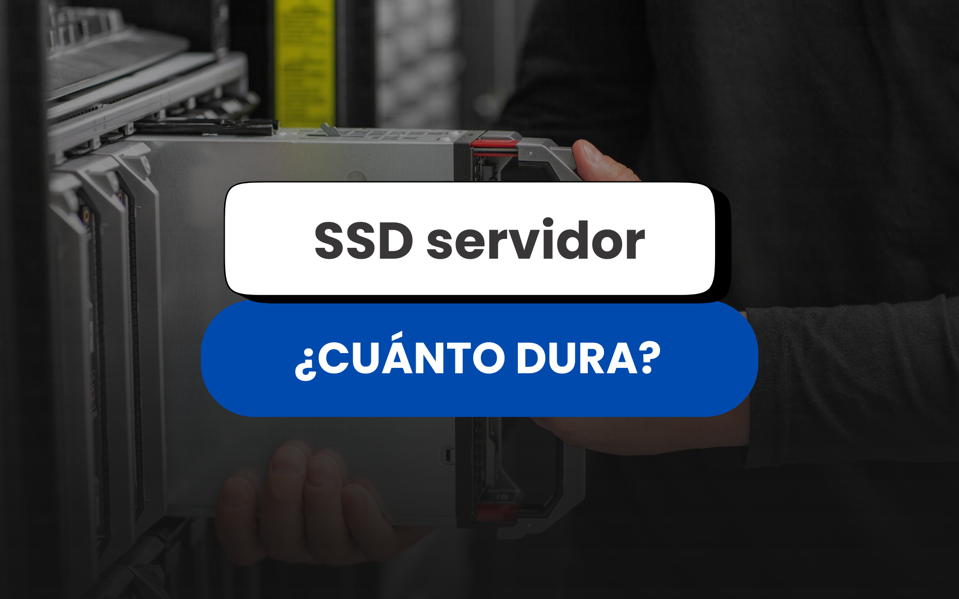 ssd servidor
