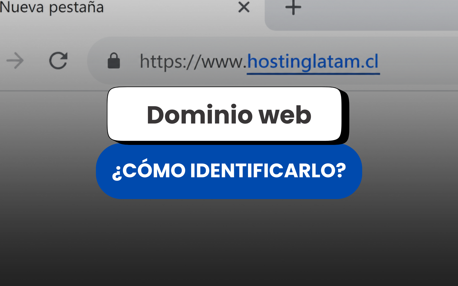 Cuál es el dominio de una página web